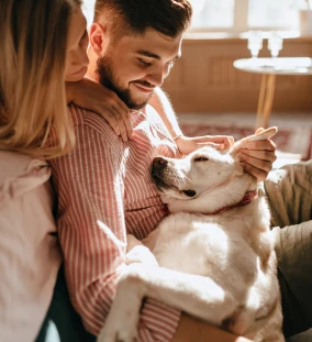 Pets and animals